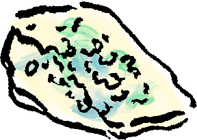 Illustration of Gorgonzola Dolce by the artist JG Debray